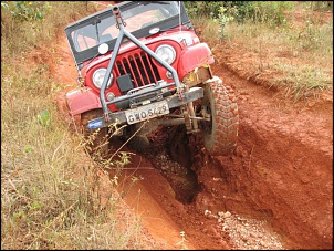 Vendo Willys CJ5 67-img_6266.jpg