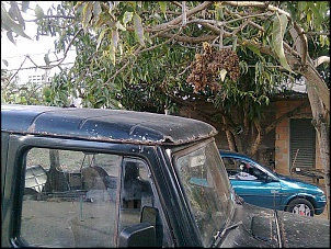 Vendo RURAL 4X4 4.194 alcool-imagem0048.jpg