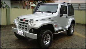 Vendo troller 2009-dsc06646.jpg