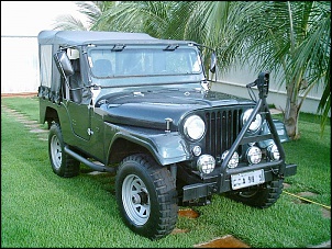 Vendo ou troco Jeep Willys-imag0001.jpg