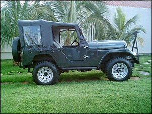 Vendo ou troco Jeep Willys-imag0003.jpg