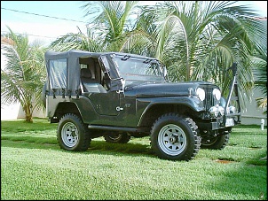 Vendo ou troco Jeep Willys-imag0004.jpg
