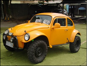 Vendo 2 fuscas baja com IRS-baja02.jpg