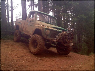 F75 1978-moto_1363.jpg