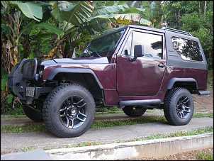 Vendo JPX 95-imgp3729.jpg
