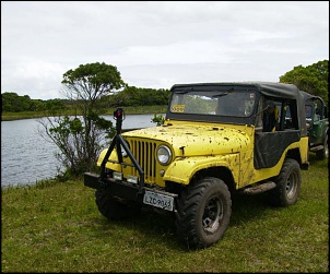 VENDO - Jeep Willys 1969 AP 2.0 Mi - Amarelo MB-verao2008-0744.jpg