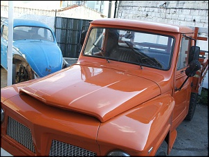 Vendo ford f 75-dscf0915.jpg