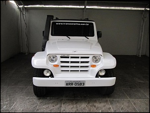 Vendo troller 3.0 2008-troller77.jpg