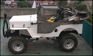 Vendo willys 54 - cara de cavalo::::::::::-cj3b-1.jpg