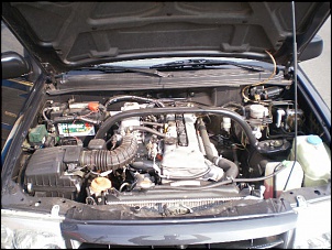 -pa220054.jpg