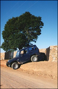 -img003.jpg