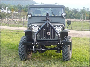 Vendo Willys 1951 Muito bonito-foto2.jpg