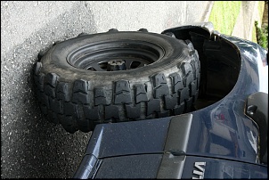 -img_1695.jpg