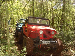 Vendo Jeep CJ5 4.1 Turbo-dsc03245.jpg