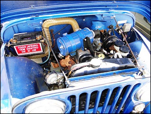 Jeep Ford Willys CJ5 OHC 4cc - 1977-dsc01273.jpg