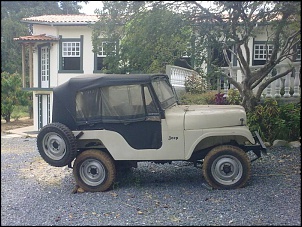 VENDO - Jeep Willys-15022011424.jpg