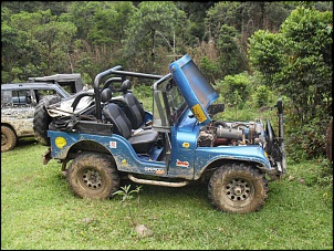 Jeep willys cj5 58 azul-sdc12021.jpg