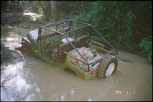 -camel-1.jpg