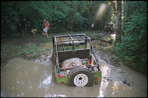 -camel-9.jpg
