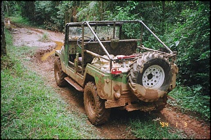 -camel-24.jpg