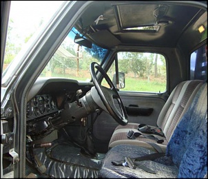 Vendo F-1000 89 Cinza garagem-18.jpg