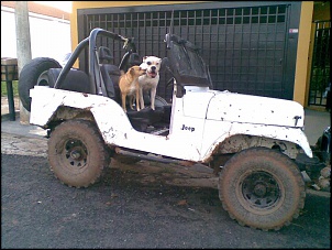 Vendo willis para trilha-24102010-006-.jpg