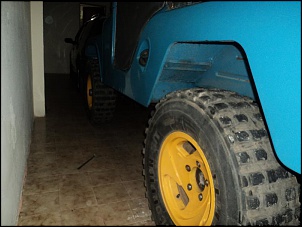 Jeep willys 1983 OHC original-dsc02653.jpg