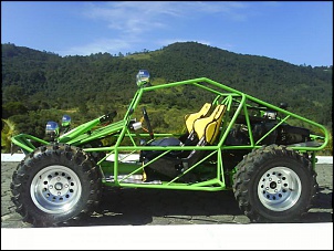Gaiola zero km!!!!!!-dsc00189.jpg