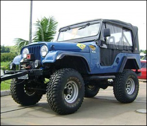 Vendo Jeep Willys CJ5 1964 Equipado-img.jpg