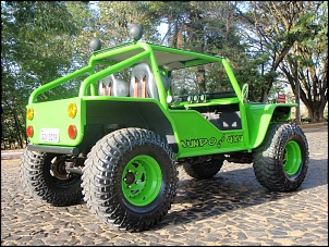 Vendo Gaiola 4X4  By  &quot;Mundo do 4X4&quot;-p7070178.jpg