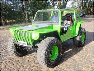 Vendo Gaiola 4X4  By  &quot;Mundo do 4X4&quot;-p7070174.jpg