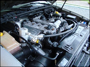 -s1004.jpg