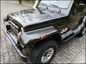 Troller 07/08 27.000km de mulher-p1010143-640x480-.jpg