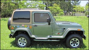 Troller 2002 raridade-img_0552.jpg