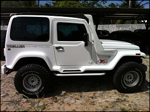 Vendo Troller 08/08 Trilha-010.jpg