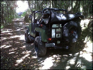 Vendo jeep willys cj5 1962 verde-caxias-do-sul-20111125-00089.jpg
