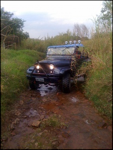 Jeep willys 1965 -  azul - lindo-img_0413.jpg