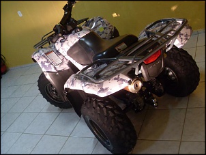 Quadriciculo Honda Fourtrax 4x4 2008-sdc15517.jpg