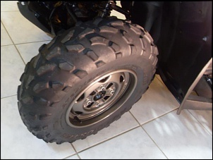 Quadriciculo Honda Fourtrax 4x4 2008-sdc15526.jpg