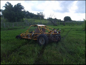 Gaiola 1600-gaiola.jpg