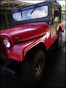 Vendo Jeep Willys CJ-5 Vermelho-ford_jipe_jeep_willys_venda_rj_10_tel_21-9705-0056.jpg