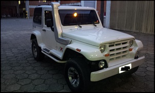 Vendo ou Troco Troller 2008 com 32mil km, nunca fez trilha, todo original-5.jpg