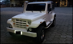 Vendo ou Troco Troller 2008 com 32mil km, nunca fez trilha, todo original-3.jpg