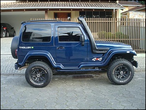 Vendo Troller 2010-dsc06459.jpg