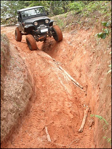 Vendo jeep cj5 1962 - ogro-ogro-descendo-o-precipicio.jpg