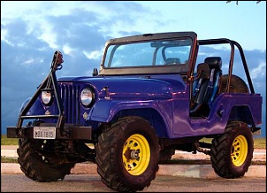 -copy_of_jeepbonito.jpg