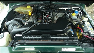 Troller 2008 com 35000 km originais-dsc01391-1-.jpg