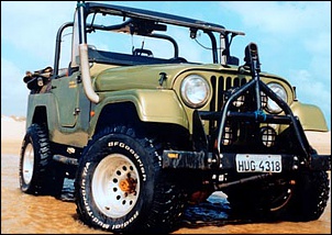 jeep 72 fibra / AP 1.8-cj5_116.jpg