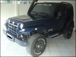 Vendo Troller 2010-dsc315a.jpg