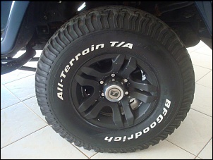 Vendo Troller 2010-dsc07310.jpg